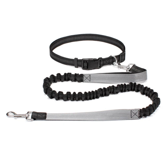 Hand Free Dog Leash for Pet Walking Running Jogging Adjustable Dog Leash Waist Belt Chest Strap Traction Rope Dog Accessories